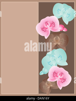 eine Abbildung eines floralen Grußkarten-Designs mit Orchidee Blüten und Knospen in Vintage Farben auf braunem Hintergrund Stockfoto