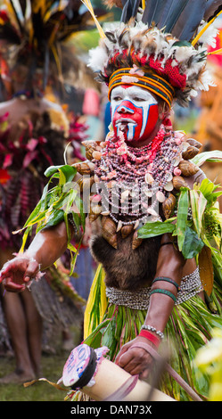 Frau mit einem gemalten Gesicht tanzen mit einer Trommel mit Muscheln und Tierhäute, Goroka Show, Papua-Neu-Guinea Stockfoto