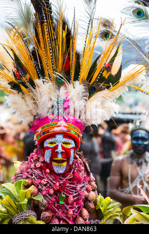 Frau mit ihr Gesicht bemalte und tragen Muscheln, Goroka Show, Papua-Neu-Guinea Stockfoto