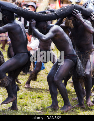 Jungen in schwarz lackiert und tragen eine vorgeben Schlange in einem traditionellen Stammes-Tanz, Goroka Show, Papua-Neu-Guinea Stockfoto