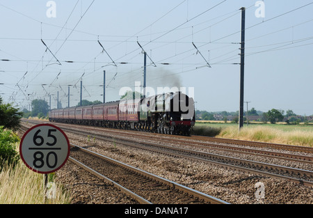 70013 Oliver Cromwell Richtung Norden mit einer Dampf spezielle, East Coast Main Line, Bedfordshire, England, UK Stockfoto