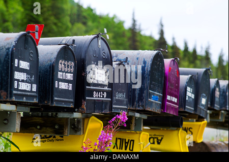 Ländliche Briefkästen, Glen Highway; Highway 1, Alaska, USA Stockfoto