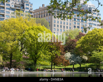 Segelboot Wasserteich Konservatorium in Central Park New York Stockfoto