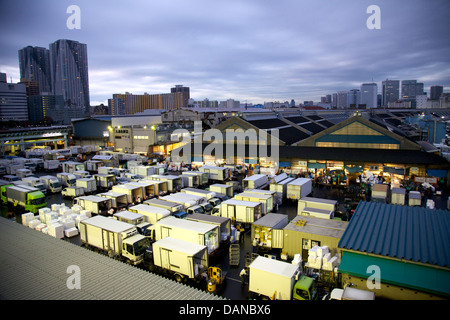 Tsukiji Fischmarkt, Chūō, Tokio, Kanto, Japan. Stockfoto