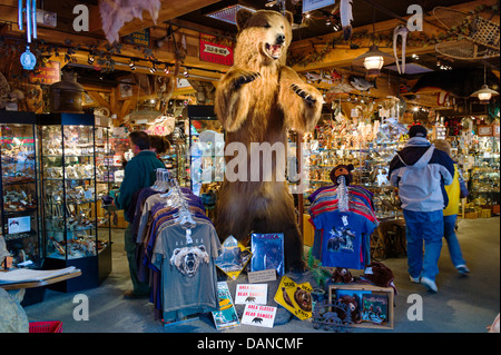 LifeSize gefüllt Grizzly Bear empfängt Touristen am Eingang, einen Souvenir-Shop, Anchorage, Alaska, USA Stockfoto