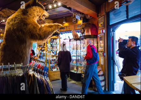 Tourist Fotos pro Lifesize gefüllt Grizzlybär am Eingang einen Souvenir-Shop, Anchorage, Alaska, USA Stockfoto