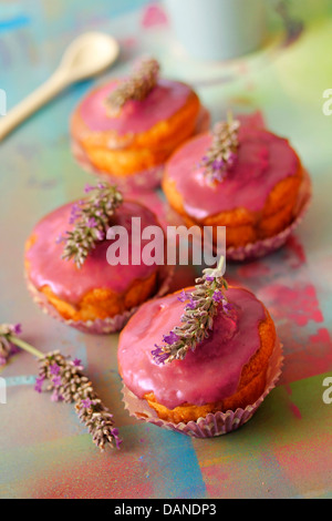 Lavendel-Cupcakes. Rezept zur Verfügung. Stockfoto