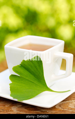 Ginkgo Biloba Infusion. Ginkgo Biloba. Stockfoto