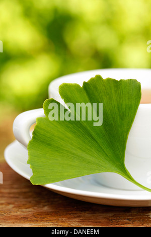 Ginkgo Biloba Infusion. Ginkgo Biloba. Stockfoto