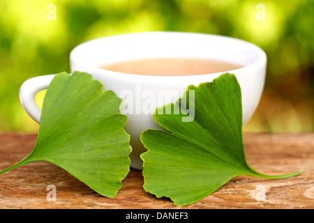 Ginkgo Biloba Infusion. Ginkgo Biloba. Stockfoto