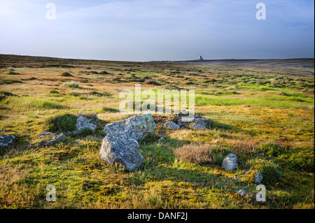 North York Moors National Park mit RAF Fylingdales am Horizont auf einer feinen Dawn in Sommer, Goathland, Yorkshire, Großbritannien. Stockfoto