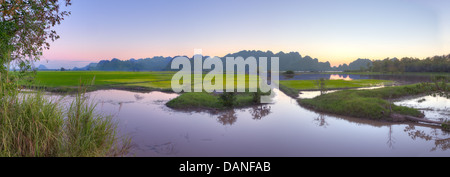 Karst-Gebirge bei Sonnenuntergang, Burma reflektieren überflutet grüner Reis Bereich Panorama der birmanischen landwirtschaftliche Landschaft Stockfoto