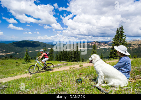 Einsame Frau & Platin Golden Retriever Hund sehen einen weibliche Mountainbiker auf den Monarchen Crest Trail, zentralen Colorado, USA Stockfoto