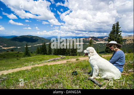 Einsame Frau & Platin Golden Retriever Hund anhalten in den Genuss der Aussicht, Monarch Crest Trail, zentralen Colorado, USA Stockfoto