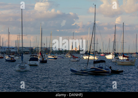 Sportboote vor Anker, Navy Pier im Hintergrund. Monroe Harbor, Chicago, Illinois. Stockfoto