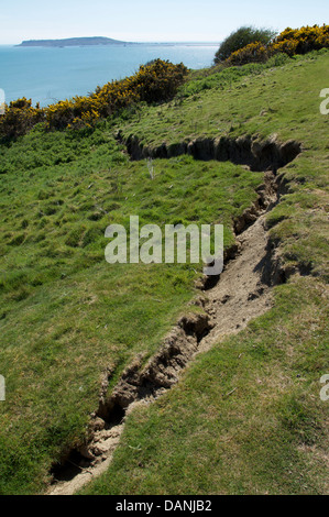 Risse in einem Feld oberhalb der Klippen in Osmington Mills. Teil des natürlichen Prozesses der Küstenerosion. Jurassic Coast, Dorset, England, UK. Stockfoto