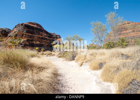 Wandern vom Parkplatz Piccaninny Cathedral Gorge, vorbei an den Sandstein Kuppeln der Purnululu (Bungle-Bungles), Kimberley Stockfoto