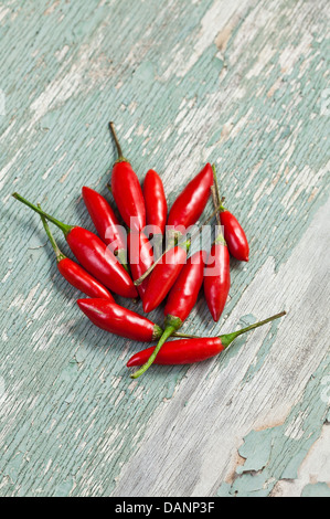 Einige helle rote Thai Kugel Chilischoten auf eine gebrochene lackierten Holzoberfläche. Stockfoto