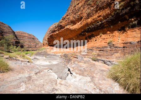 Wandern vom Parkplatz Piccaninny Cathedral Gorge, vorbei an den Sandstein Kuppeln der Purnululu (Bungle-Bungles), Kimberley Stockfoto