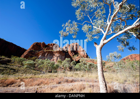 Felsige Hügel am Eingang des Echidna Chasm, Purnululu National Park (Bungle Bungles), Western Australia Stockfoto