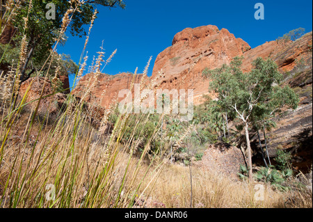 Felsige Hügel am Eingang des Echidna Chasm, Purnululu National Park (Bungle-Bungles), Western Australia Stockfoto