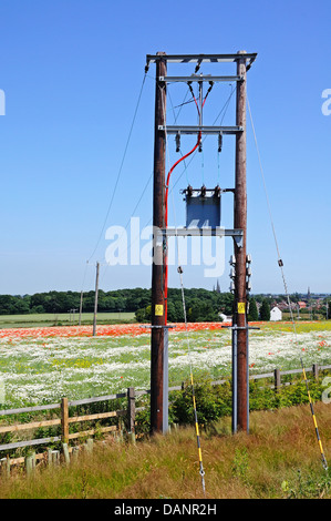 Telegraphenmasten, die zu Mohnfeld mit Dom in der Ferne, Lichfield, Staffordshire, England, Westeuropa. Stockfoto