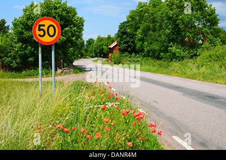 Schild am Straßenrand unter Sommerblumen, von der Insel Öland in Schweden. Stockfoto