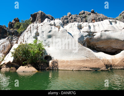 Die Devon Kalksteinfelsen der Geilki Schlucht, gebildet von der Fitzroy River in der Kimberley-Western Australia Stockfoto