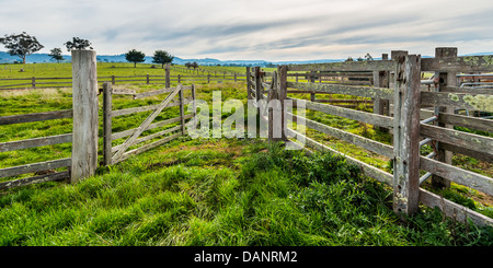 Offene Tor auf alten australischen Schaffarm. Stockfoto