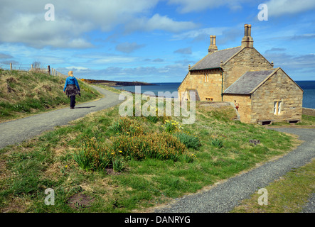 Einsame weibliche Walker St Oswald Weise lange Entfernung Fußweg Northumberland Küste baden Haus in der Nähe von Craster Weitergabe Stockfoto