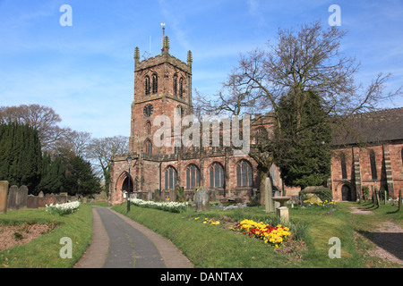 Holy Trinity Church, Eccleshall, Staffordshire mit Narzissen im Frühjahr. Stockfoto