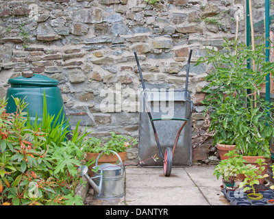Gärtners Ecke mit Tomatenpflanzen (Solanum Lycopersicum) und Husch-Fly Pflänzchen (Nicandra Physalodes) im Frühsommer UK Stockfoto