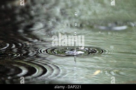 Datei - eine Archiv Bild datiert 13. April 2011 zeigt Regen Tropfen fallen in eine Pfütze in Leipzig, Deutschland. In vielen Teilen Thüringens Sachsens und Brandenburgs Sturm und Dauerregen erwartet.  Foto: Jan Woitas Stockfoto