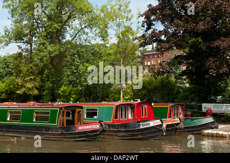 Kanal schmale Boote vertäut am Fluss Wey in Guildford Surrey England Stockfoto