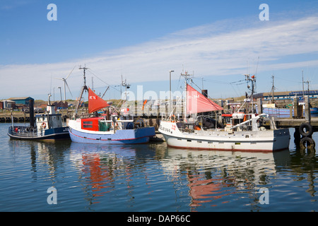 Hvide Sande West Jütland Dänemark EU bunte Fischerboote mit roten Segeln vor Anker im Hafen des Fischerdorfes Stockfoto