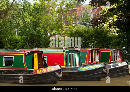 Hausboote auf dem Fluss Wey in Guildford Surrey festgemacht Stockfoto