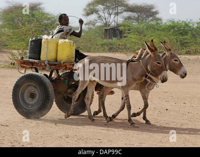 Mit einem selbstgebauten Trainer von zwei Eseln gezogen, bringt dieser Flüchtling Kanister voller Wasser zwei seiner Unterkunft in einem Flüchtlingslager in Dadaab, nordöstlichen Kenia, Afrika, am 3. August 2011. Somalia und Kenia getroffen haben in sechs Jahrzehnten von einer der schlimmsten Dürren und Hungersnöte, über 350,000 Flüchtlinge Unterschlupf gefunden haben, in der weltweit größten Flüchtlingslager. Foto: B Stockfoto