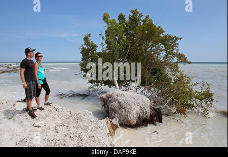 Die Menschen gehen rund um die Kreidefelsen auf der Insel Rugia in Sassnitz, Deutschland, 4. August 2011. Nach Wochen des starken Regens das Gebiet im Nationalpark Jasmund ist in der Gefahr weiterer Erdrutsche. Spaziergänge am Fuße der Klippen sind im Moment gefährlich sind. Am Wochenende vor, traten mehrere Erdrutsche. Foto: BERND WUESTNECK Stockfoto