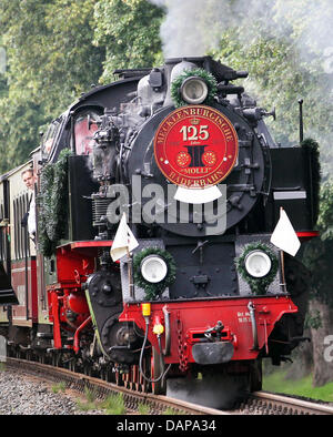 Ein Zug der Schmalspurbahn "Molli" fährt durch die Straßen von Bad Doberan, Deutschland, 5. August 2011. Am Bahnhof beginnt der drei Festivaltage Geburtstag für die 125 Jahre alte dampfbetriebene Eisenbahn, die wird von einem Festival Veranstaltung in Doberan Abbey eingeleitet werden. Foto: Bernd Wuestneck Stockfoto