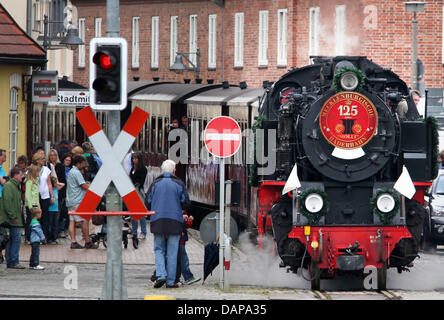 Ein Zug der Schmalspurbahn "Molli" fährt durch die Straßen von Bad Doberan, Deutschland, 5. August 2011. Am Bahnhof beginnt der drei Festivaltage Geburtstag für die 125 Jahre alte dampfbetriebene Eisenbahn, die wird von einem Festival Veranstaltung in Doberan Abbey eingeleitet werden. Foto: Bernd Wuestneck Stockfoto