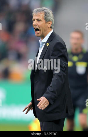 Mönchengladbach Cheftrainer Lucien Favre schreit Instruktionen für seine Spieler auf dem Platz während der Bundesliga-Fußballspiel zwischen Borussia Moenchengladbach und VfB Stuttgart im Borussia Park in Mönchengladbach, 13. August 2011. Foto: Roland Weihrauch Stockfoto