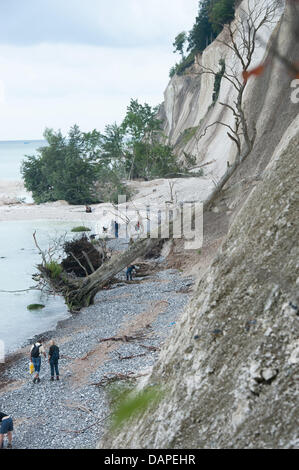 Massen von Kreide und Mergel liegen vor den Kreidefelsen auf Rugia Insel in der Nähe von Sassnitz, Deutschland, 15. August 2011. Laut einem Sprecher der Nationalpark Jasmund, im nordöstlichen Teil der Insel, ein 100 Meter breit und 70 Meter hohen Teil, rund 30.000 Kubikmeter der Klippe stürzte ins Meer, machen dies zu einem der größten bricht in Deutschland in den letzten 10 y Stockfoto