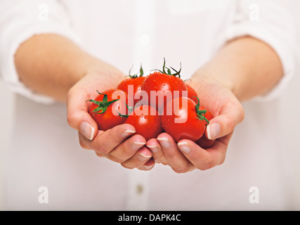 Weibchen die beiden Hände halten frische Tomaten Stockfoto