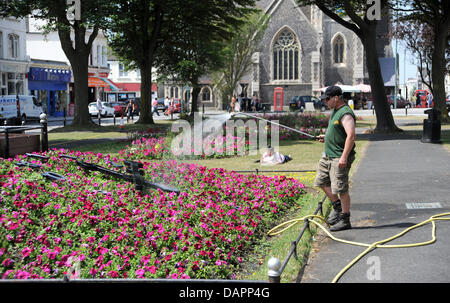 Hove, UK. 17. Juli 2013. Ein Rat Arbeiter Wasser die Pflanzen an die Blumenuhr in Hove während die Hitzewelle heute weiter Stockfoto