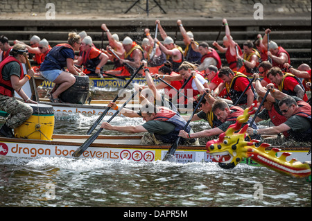 Ein Faschings-Charity-Event. Die 2013 "Help for Heroes" Charity Drachenboot-Rennen organisiert vom Rotary Club, York, UK. Stockfoto