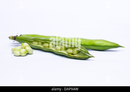 Frisch gepflückten Bohnen auf einem weißen Hintergrund. Stockfoto