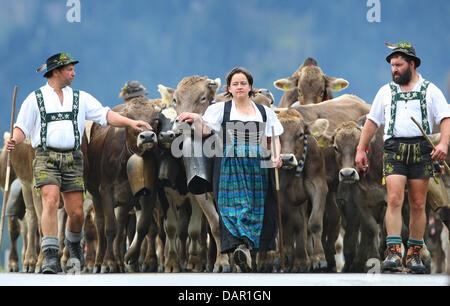 Alp Bauern treiben ihr Vieh ins Tal während der Viehscheid-Almabtrieb in Oberstaufen, Deutschland, 9. September 2011. Während die Viehscheid-Almabtrieb werden Tausende von Kühen aus den Bergen ins Tal getrieben. Foto: KARL-JOSEF HILDEBRAND Stockfoto