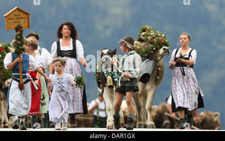 Alp Bauern treiben ihr Vieh ins Tal während der Viehscheid-Almabtrieb in Oberstaufen, Deutschland, 9. September 2011. Während die Viehscheid-Almabtrieb werden Tausende von Kühen aus den Bergen ins Tal getrieben. Foto: KARL-JOSEF HILDEBRAND Stockfoto