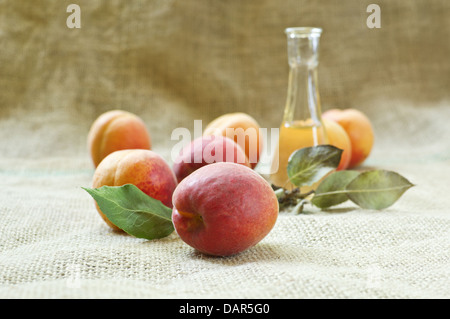 Frische und leckere Aprikosen Obst und Aprikosenschnaps auf einer Tischdecke. Selektiven Fokus mit geringen Schärfentiefe. Stockfoto