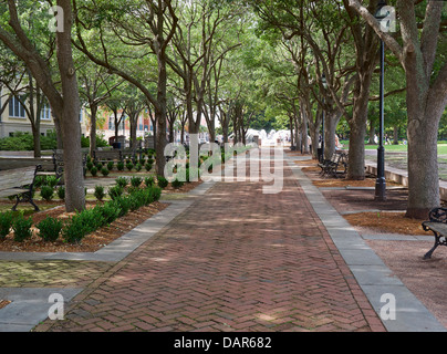 Waterfront Park, Charleston, South Carolina. Eine Allee von Bäumen bietet schattigen Platz zum Entspannen in der 12 Hektar großen Park. Stockfoto